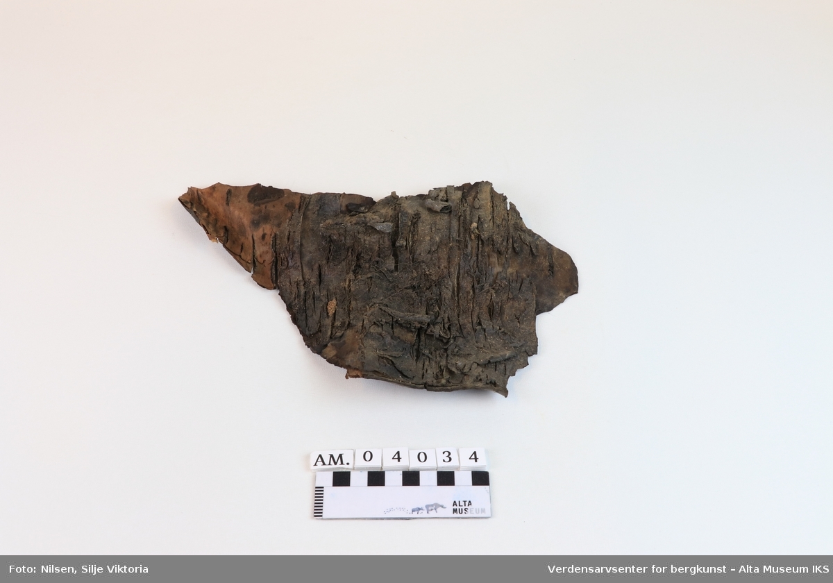 Ett stykke never/bark av ukjent tre (mulig furu), brukt i en tjæremil på Skillemoen i Alta kommune. 
Stykket er antageligvis 3-400 år gammelt. Det er forkullet og brent.