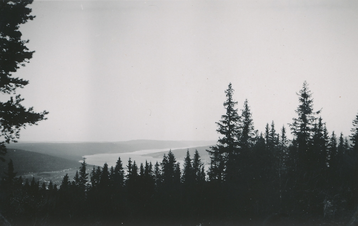 Landskap med utsikt over skog og en fjord.