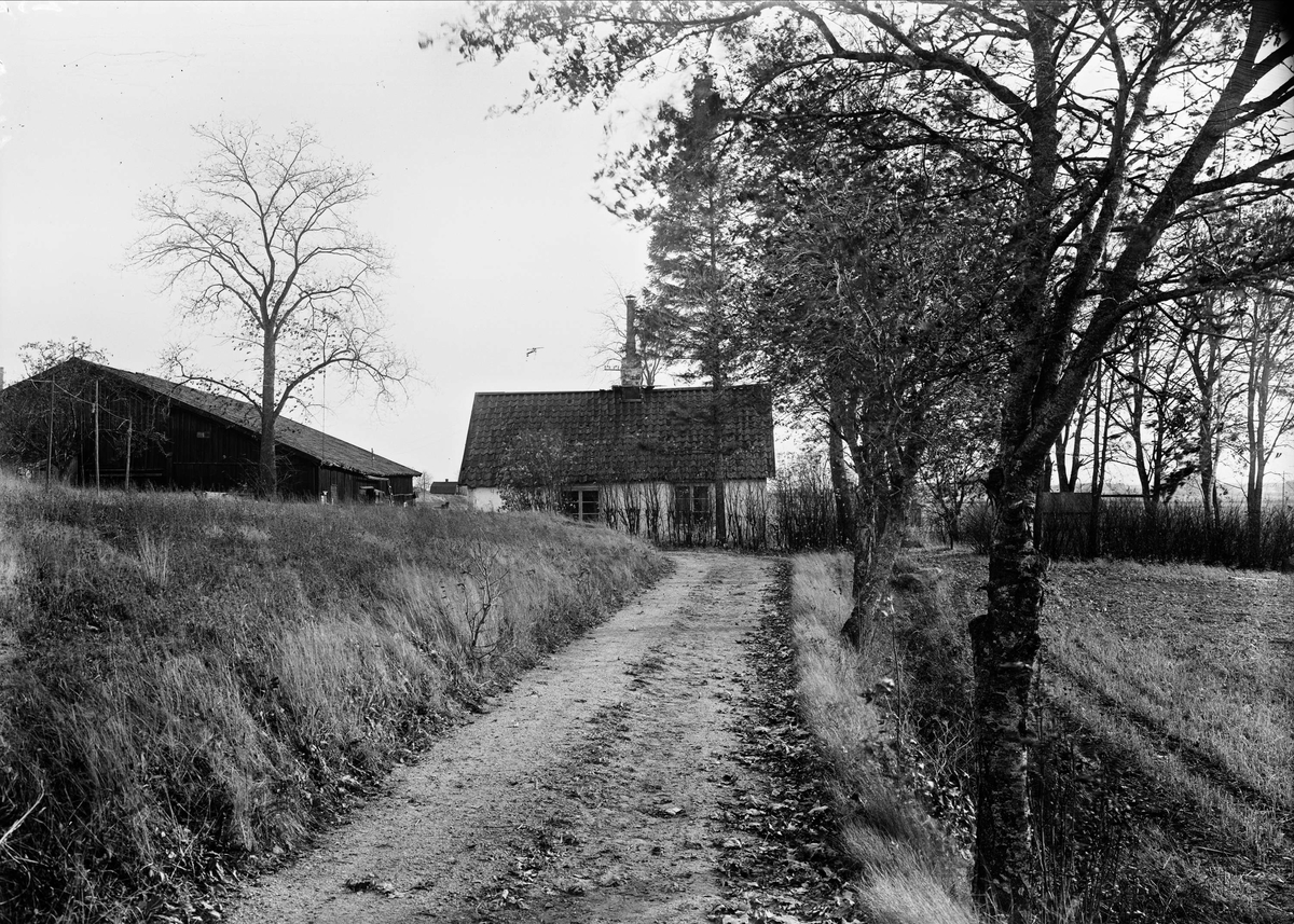 Gårdsmiljö, Johannelund 4, Sala backe, Vaksala socken, Uppland 1947