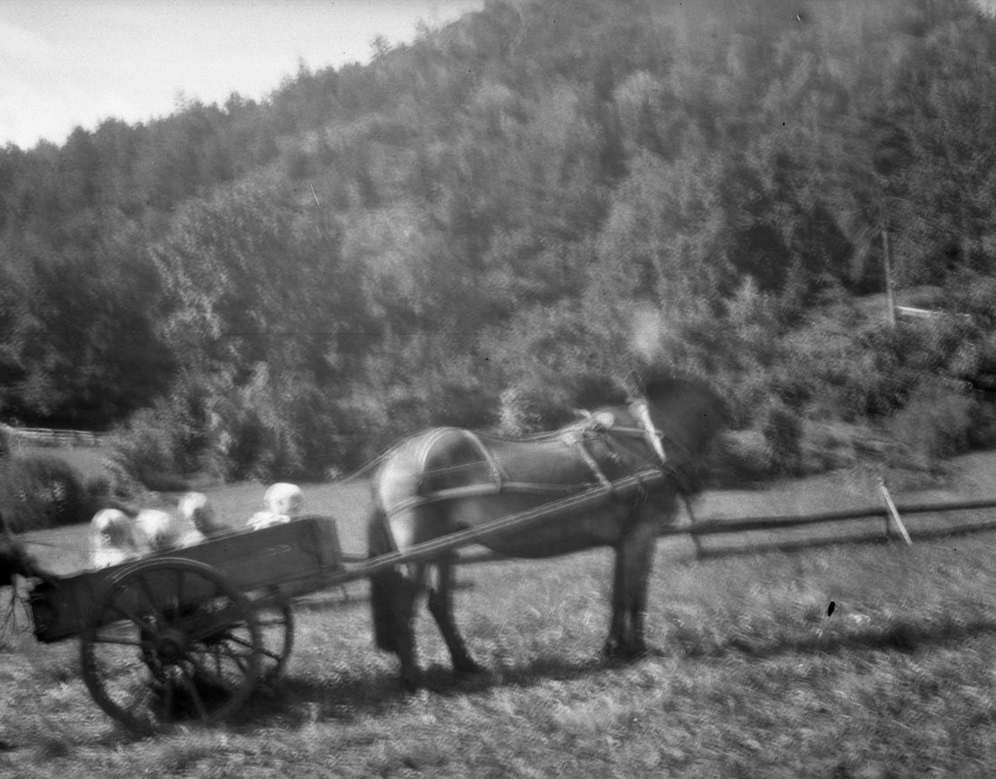 Hest og vogn med fire barn oppi.  Trolig Dale gård, Tørdal. Ca. 1900 -1920
