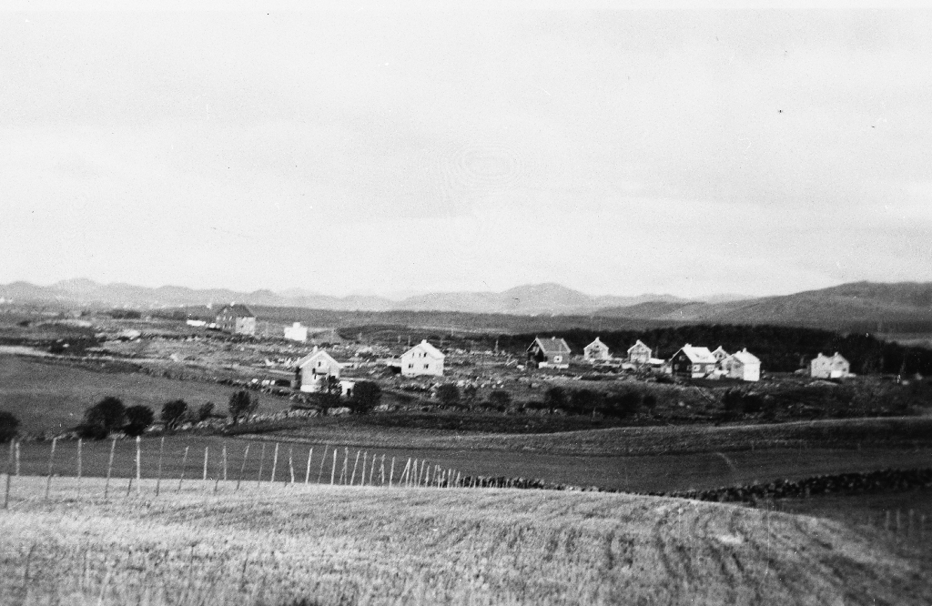 Varheia i 1953 fotografert mot aust frå Ørnahaugen (Brynehaugen)