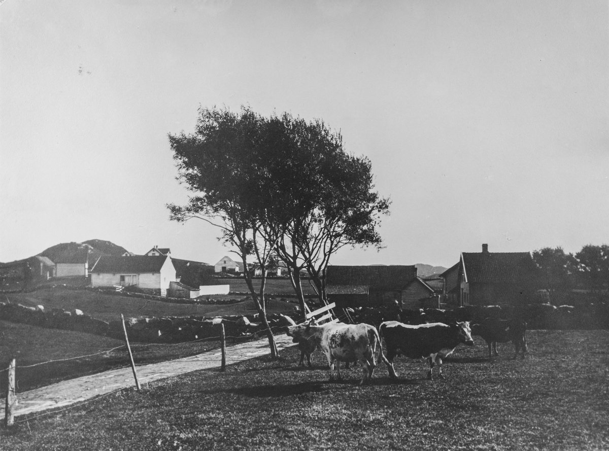 Lillesund, 1909.