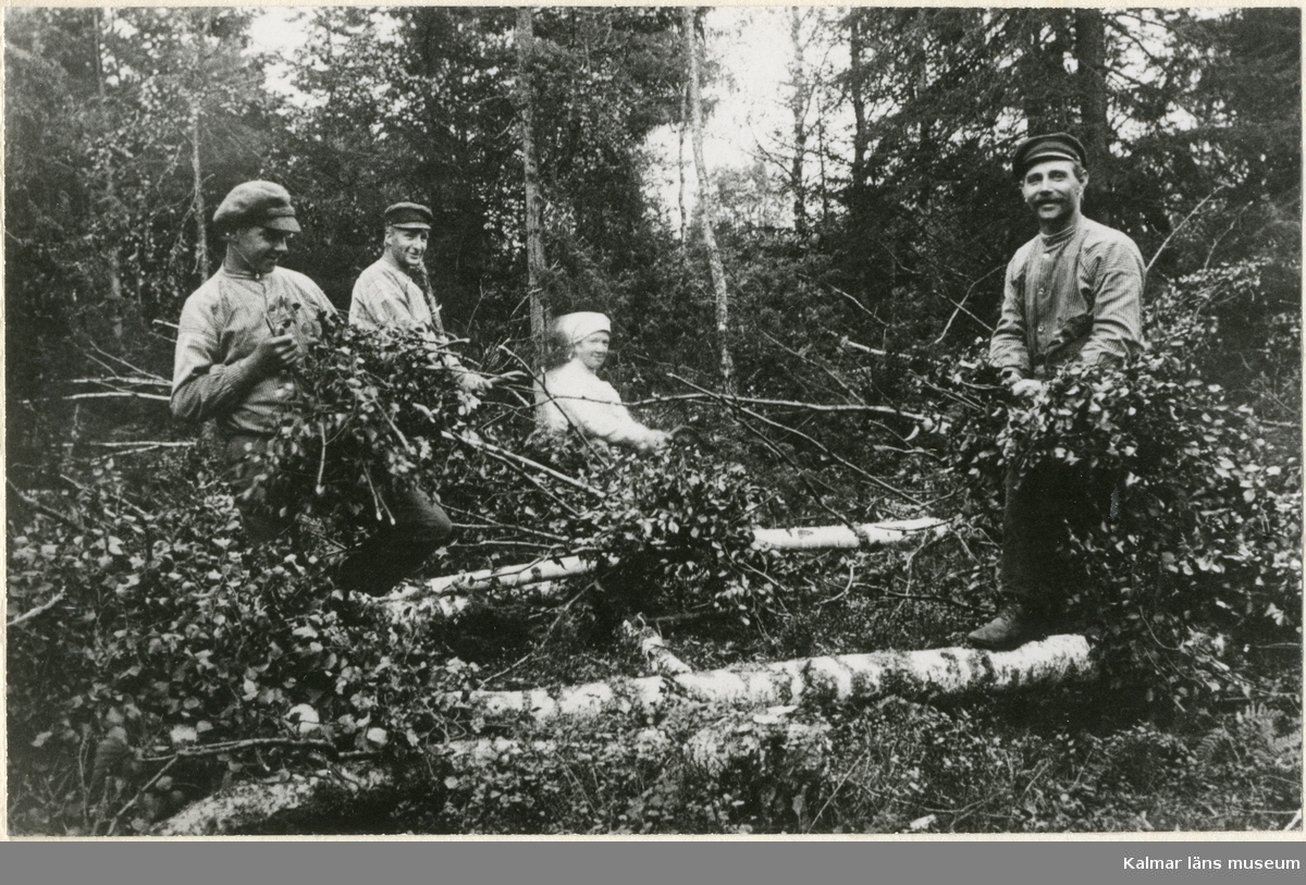 Lövbrytning i Kleftetorp, 1917. Syskonen Erik, Gunnar, Gerda och Gustav Petersson.