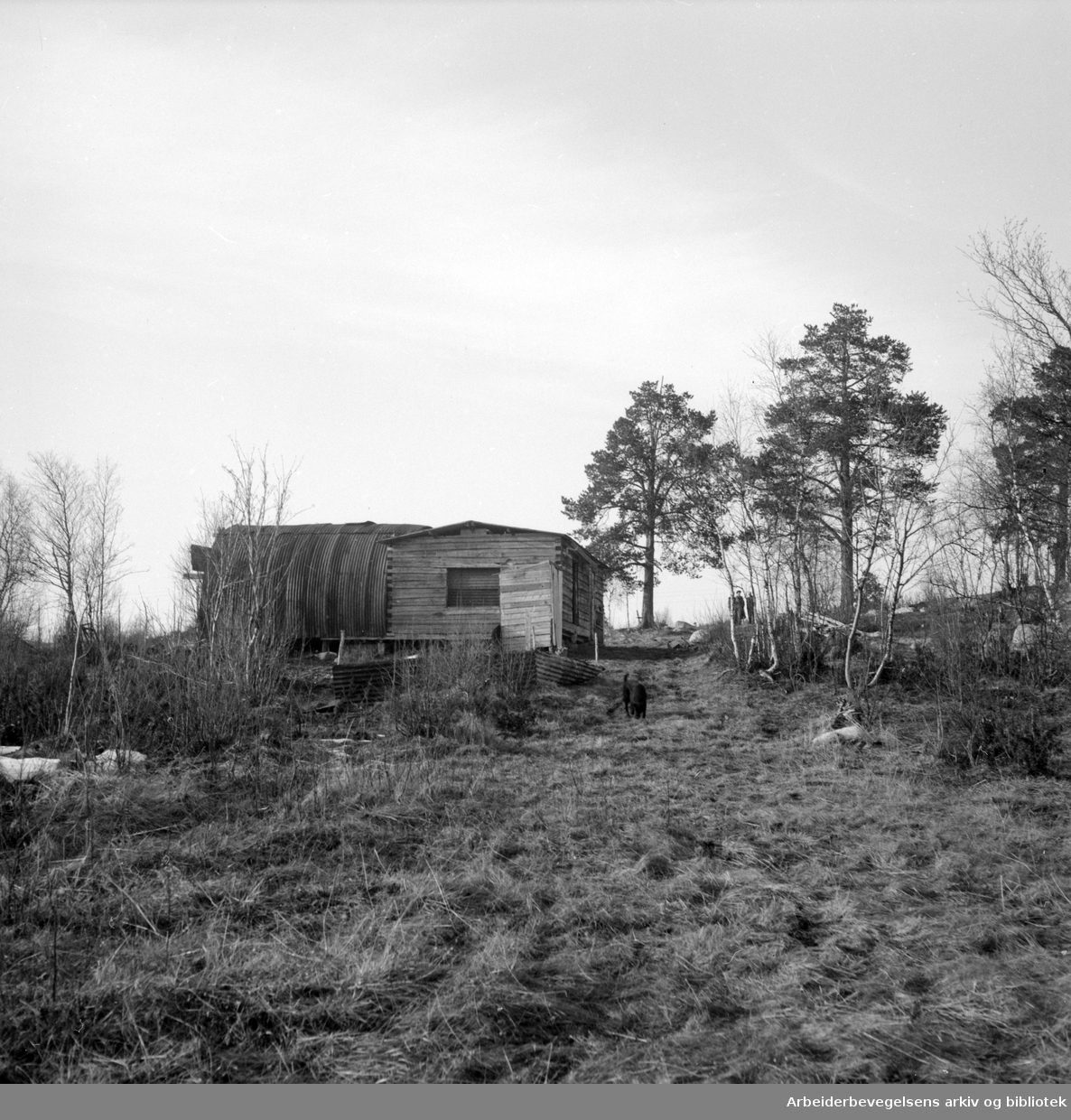 Rettsak i Sør-Varanger lagmannsrett mot 5 spionsiktede nordmenn. Kirkenes, mai 1954. Huset på bildet tilhører en av de siktede.