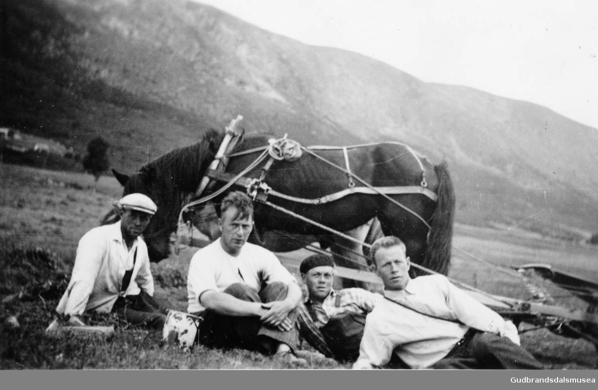 Slåttonn på Marlo i 1930-åra. 
F.v.: Ingvald Skåre (f. 1903), Lars Skåre (f. 1900), Kolbjørn Skåre (f. 1915) og Sevald Skåre (f. 1901)