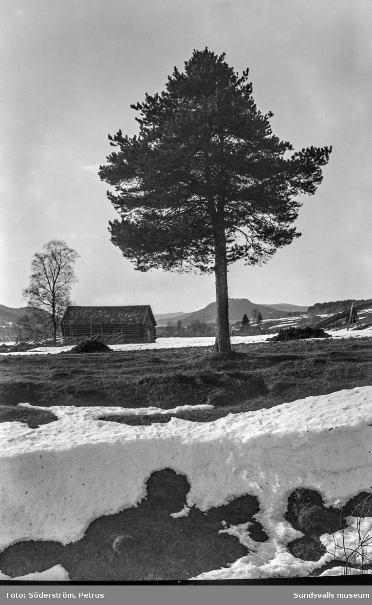 Vintervyer med lador och hässjevirke, taget västerut från Glömsta.