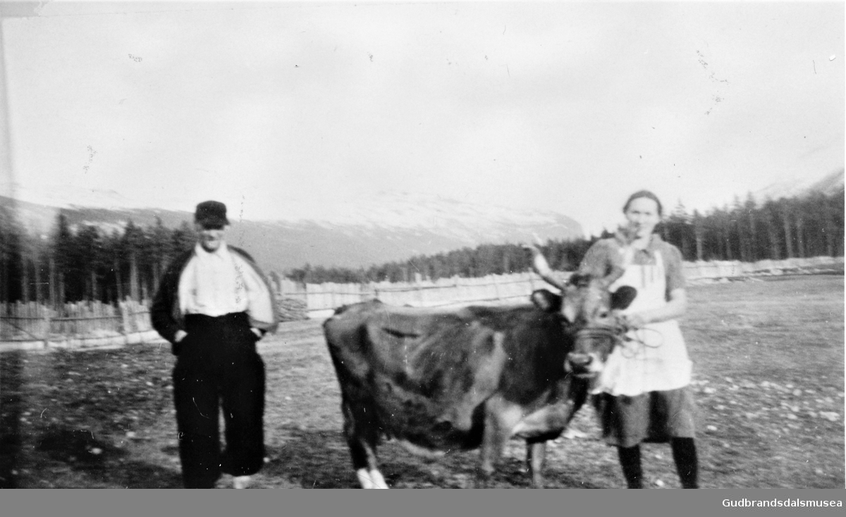 Frå Sørheim.  
Ole Holmork (f.1881) og Kari Brennhaug (f. Huse 1895)