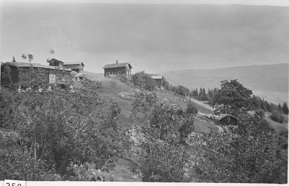 Bebyggelse på Nedre Skålen. Fra venstre låven. Ovenfor vedskjul og stabbur, og foran der bryggerhus og våningshus.Nedenfor der er det hestestall, og badstue nederst i bakken. Ca 1928.