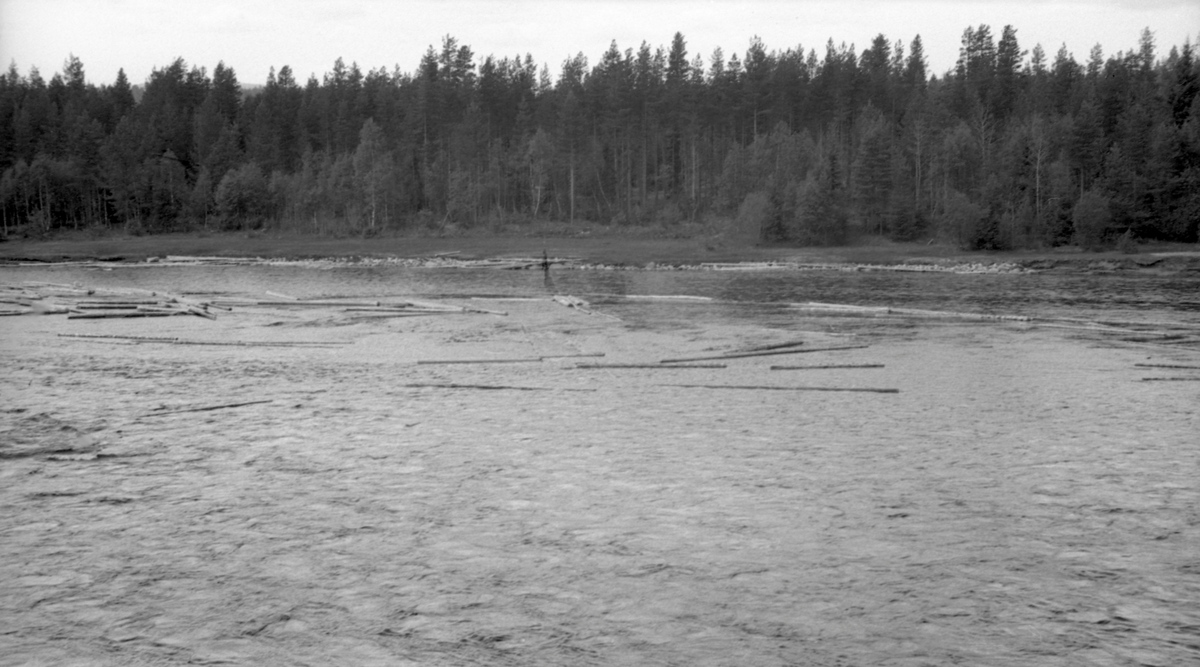 Tømmer ved land og i vannet nedenfor Jørnstuen. 