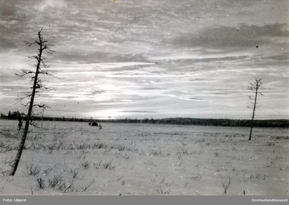 Vinter i et myrlandskap i Pasvik eller Petsamo-området. Det ser ut som en liten gruppe mennesker befinner seg litt til venstre i bildet. 