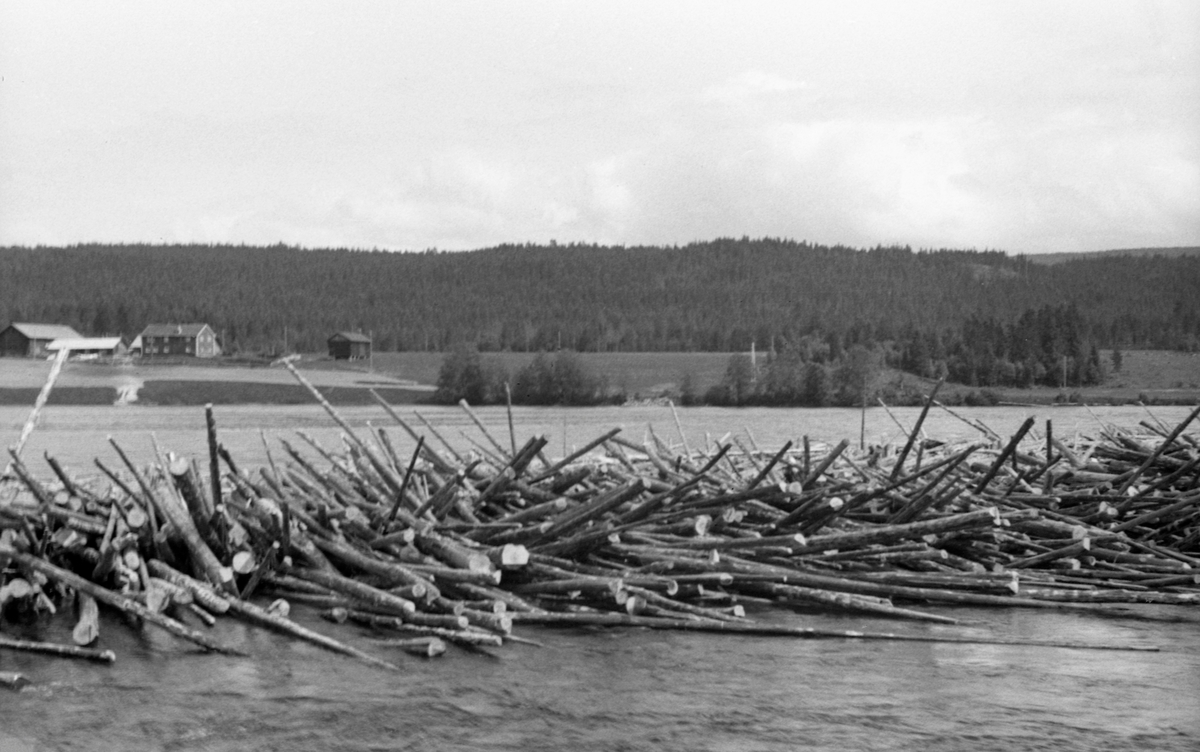 Tømmerhaug langs dammen ved Hommelnesset.
Bildet er tatt for å bli en del av et sammensatt panoramabilde (se bilde 2).