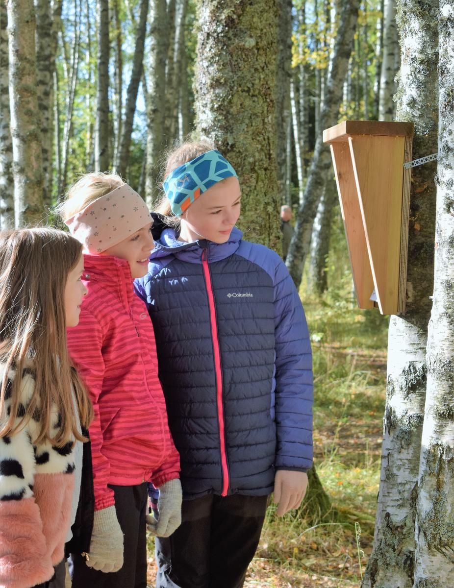 Foto av tre barn som leser natursti (Foto/Photo)
