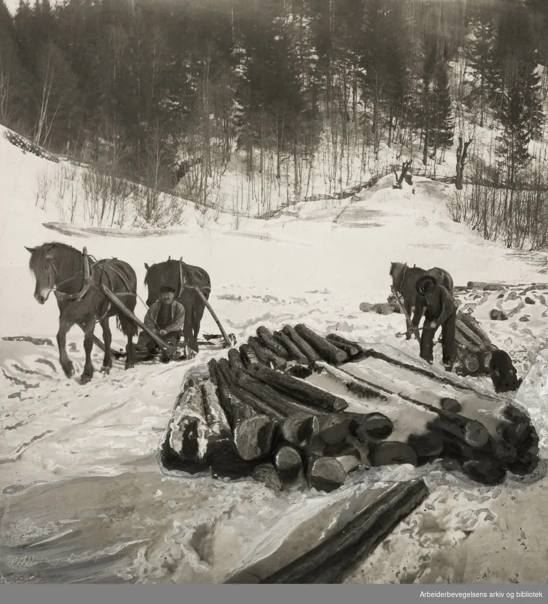 Kjøring av tømmer om vinteren. Ukjent. Ca. 1900 - 1910.