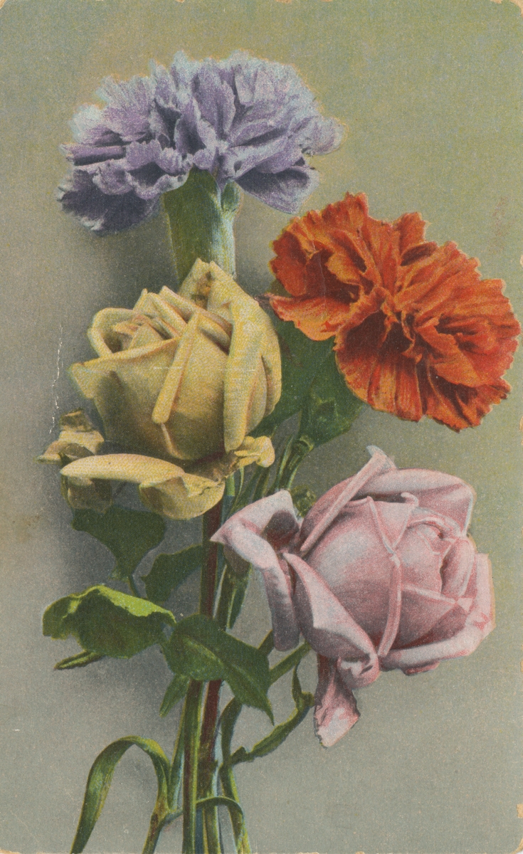 Postkort med motiv av to roser og to nelliker.