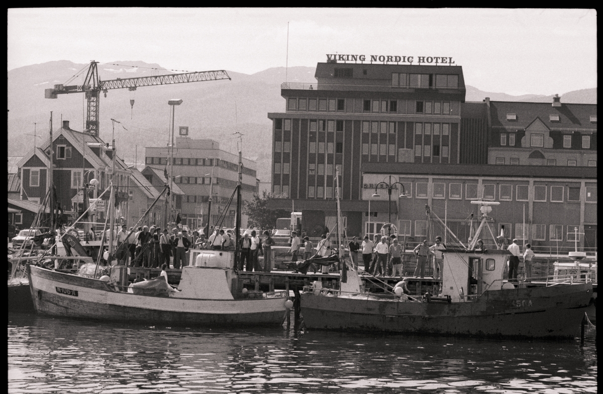 Båter ved kai i Harstad sentrum.