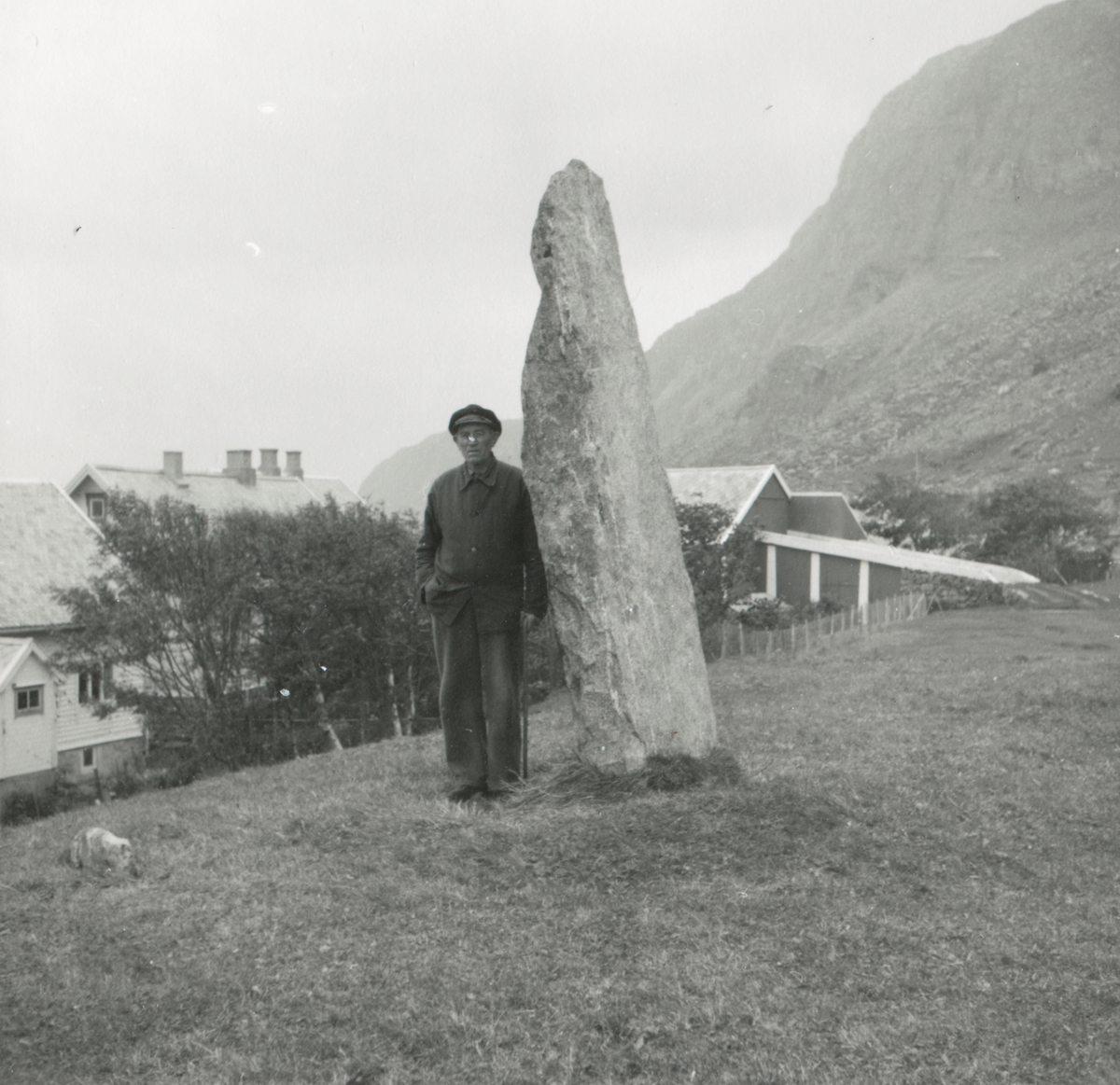 En mann står ved ein bautastein på Alnes, Godøy.