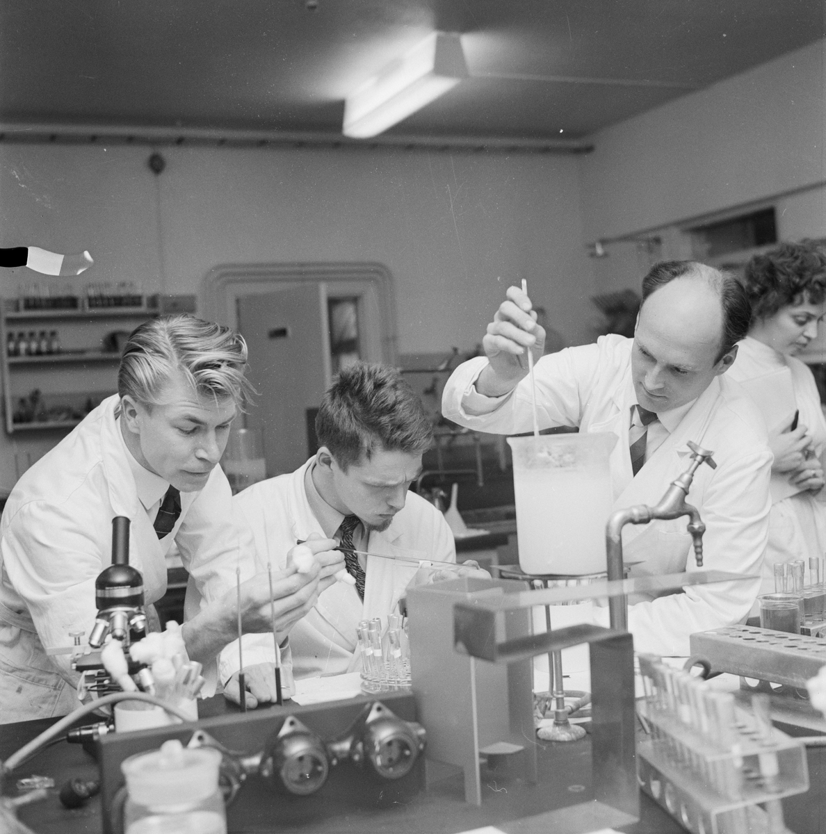 Biokemiska institutionen, mikrobiologisk kurs, Uppsala, november 1958
