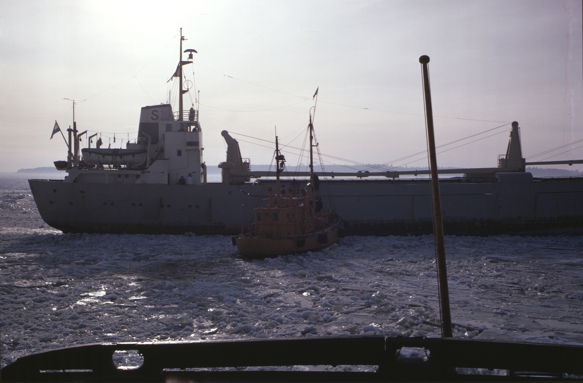 En lotsbåt som angör ett holländskt lastfartyg.