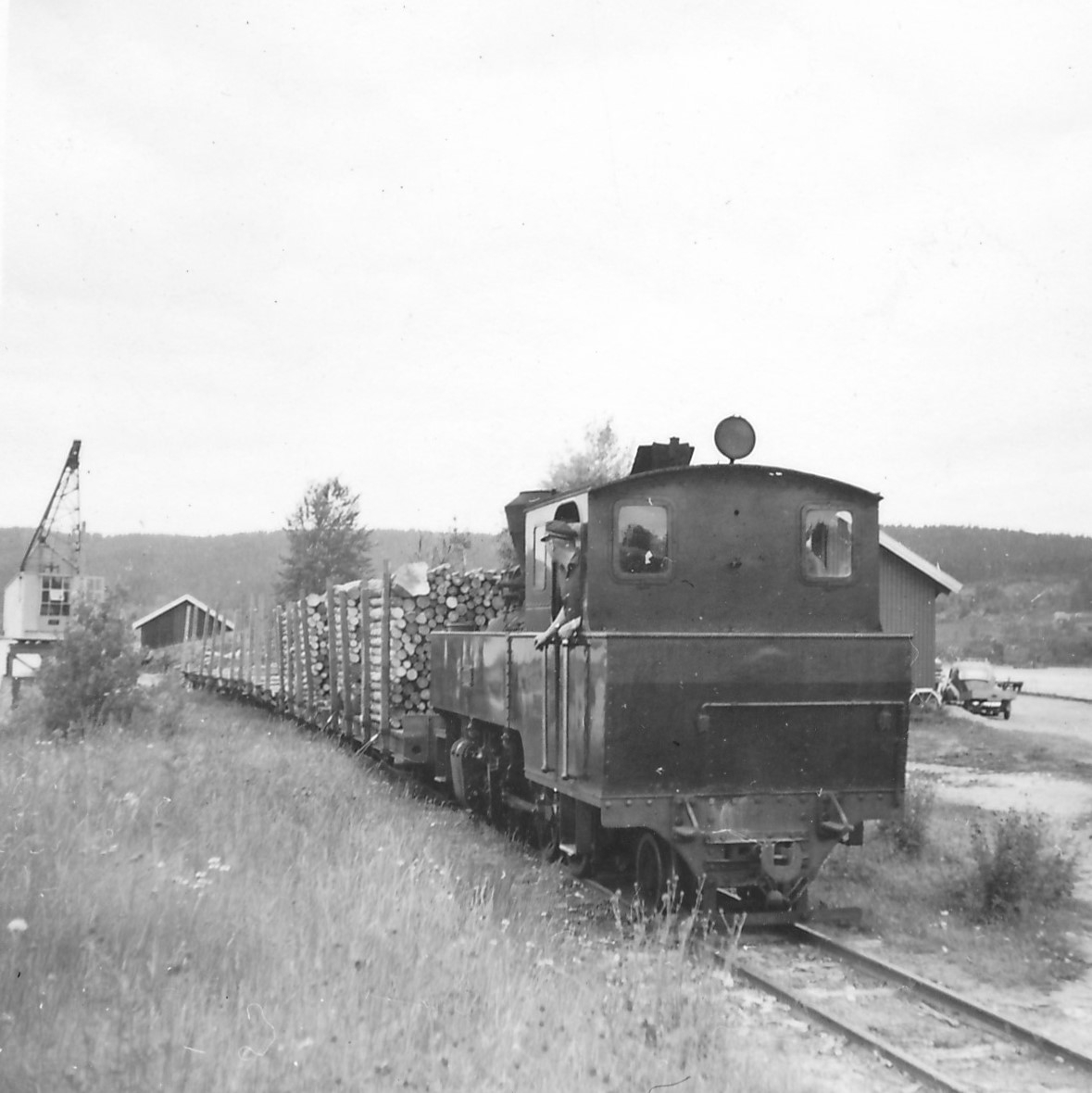 Damplokomotiv type XXIXb nr. 7 PRYDZ med tømmervogner ved tømmerkranen på Skulerud stasjon.