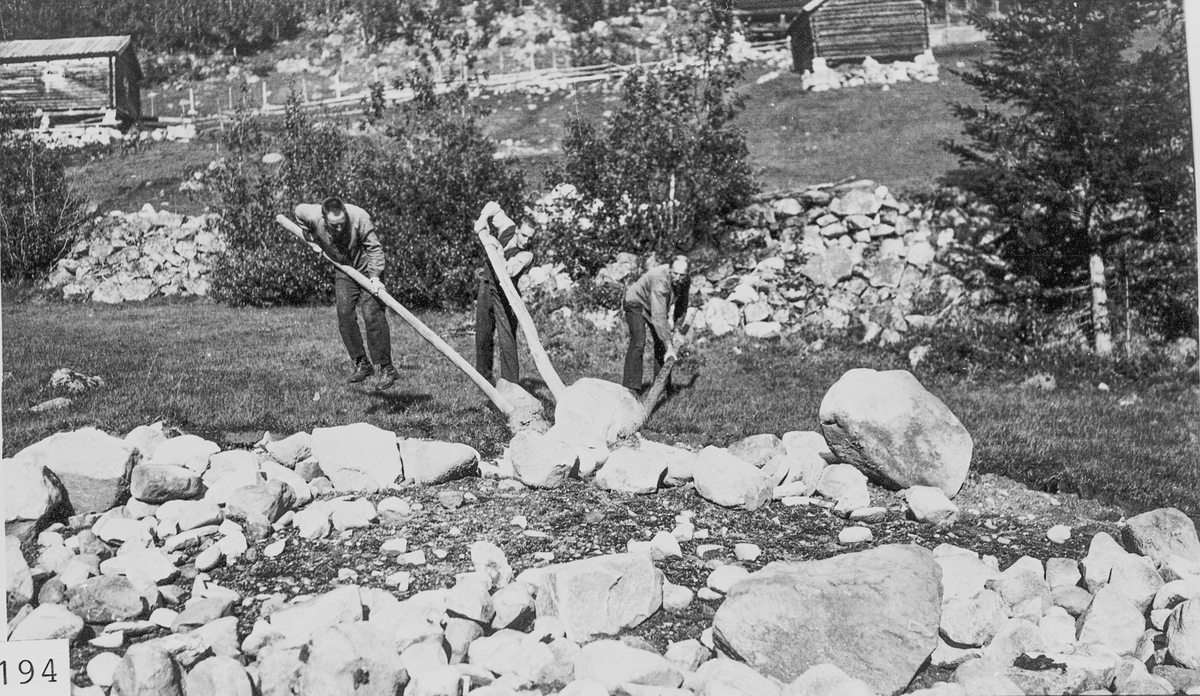 Jordbryting på Vestre Bøle, 1925. Karer som bruker «våg» for å flytte på en stein. 
