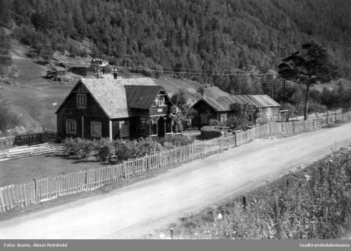 Myhre på Dovreskogen hausten 1955.