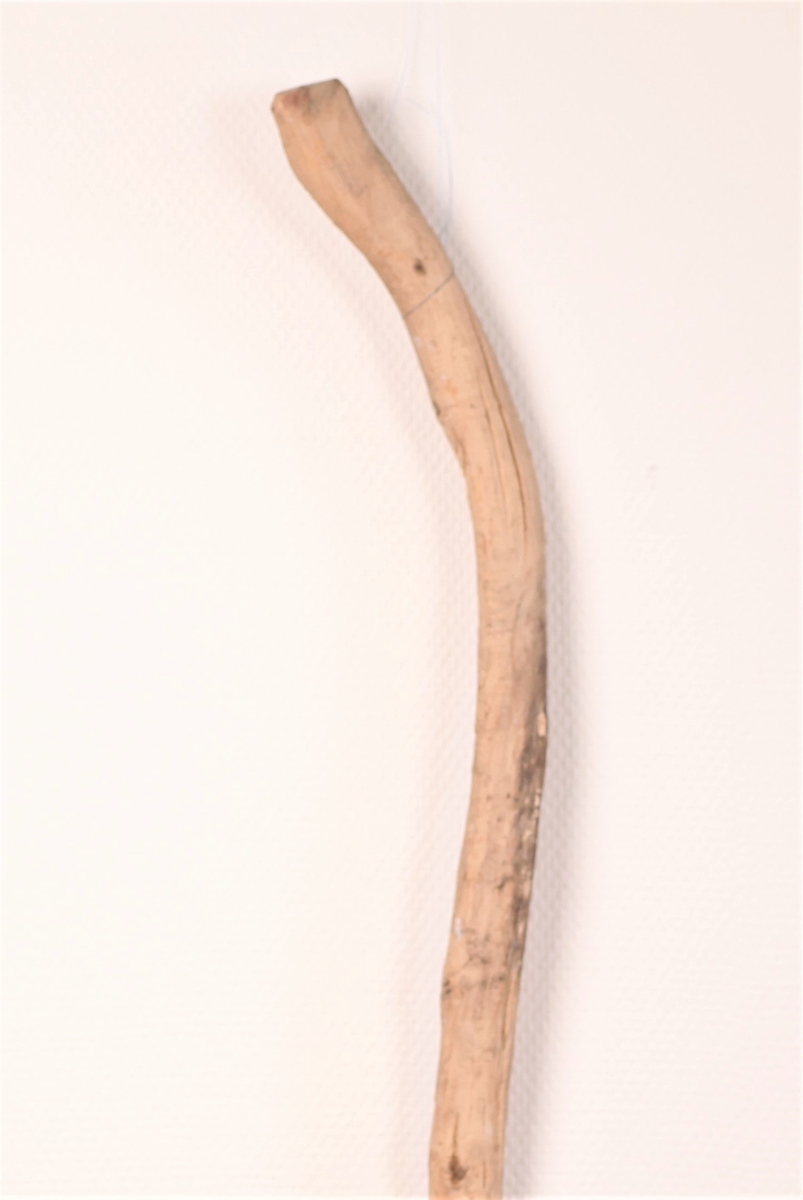 Spaserstokk med håndtak formet av stokkens bøyning