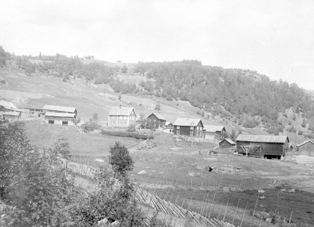 Gardane øvre og nedre Vik i Vestre Slidre ca. år 1900.