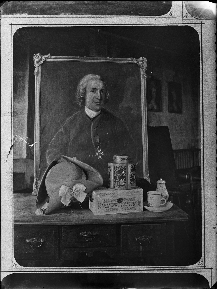 Reprofotografi - Konstverk - Carl von Linné
