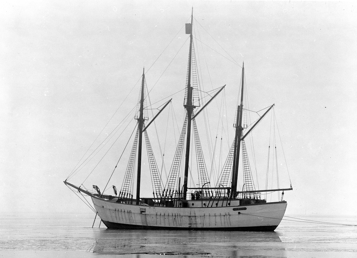 Prot: Maud Roald Amundsens skib
