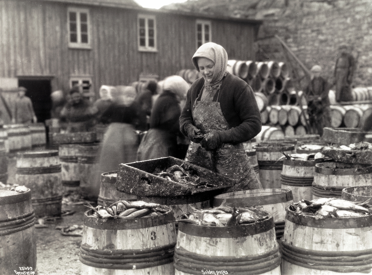 Prot Kristiansund Silden Ganes Norsk Folkemuseum Digitaltmuseum