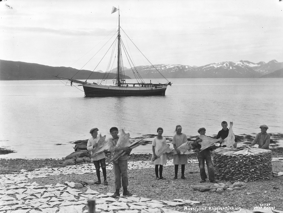 "Prot: Nordland - Rogsfjord, klipfisktørking