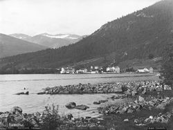 Prot: Nordfjord Grodaas