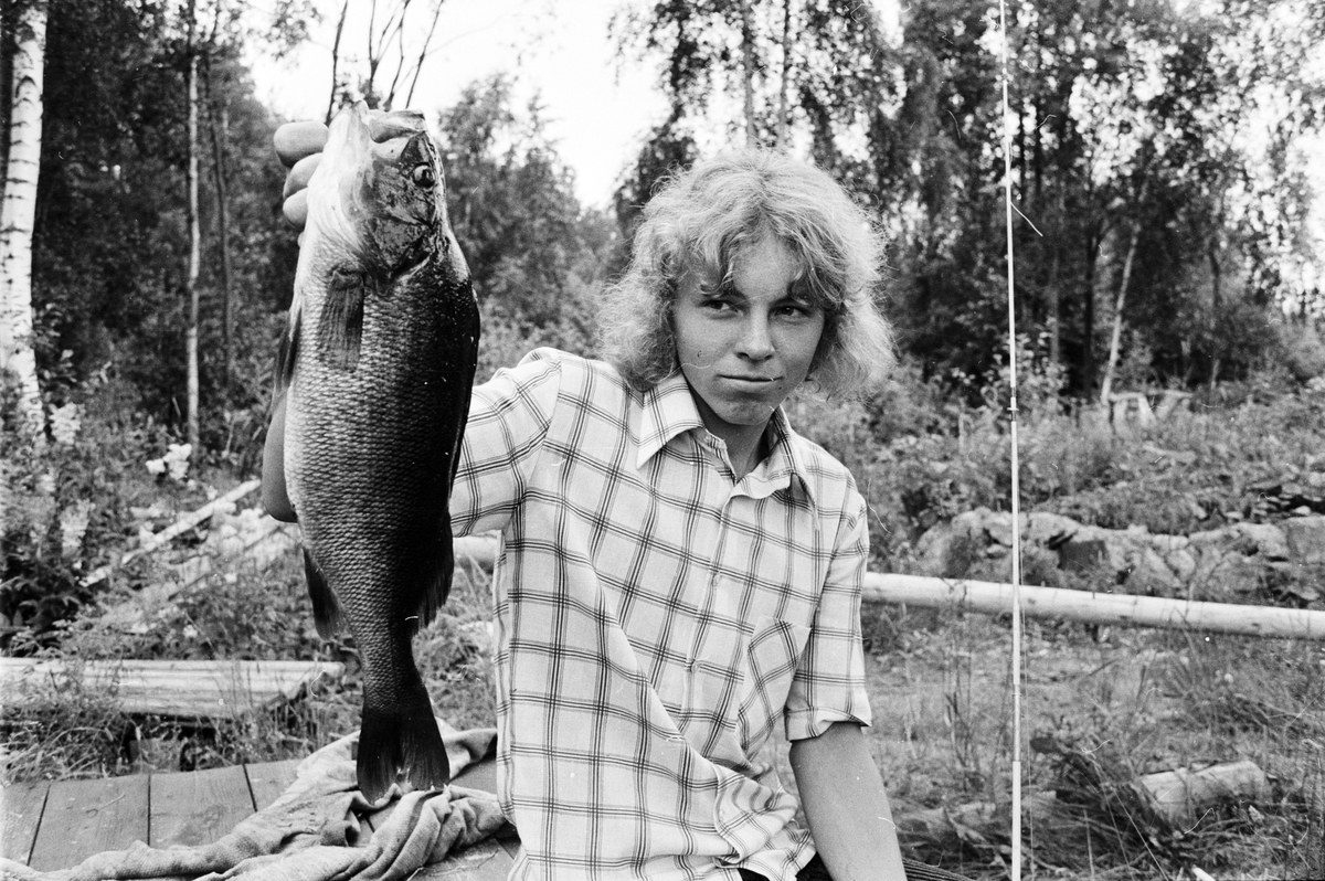 Jätteabborre på spinn, Rosslarna, Söderfors, Uppland, juli 1972
