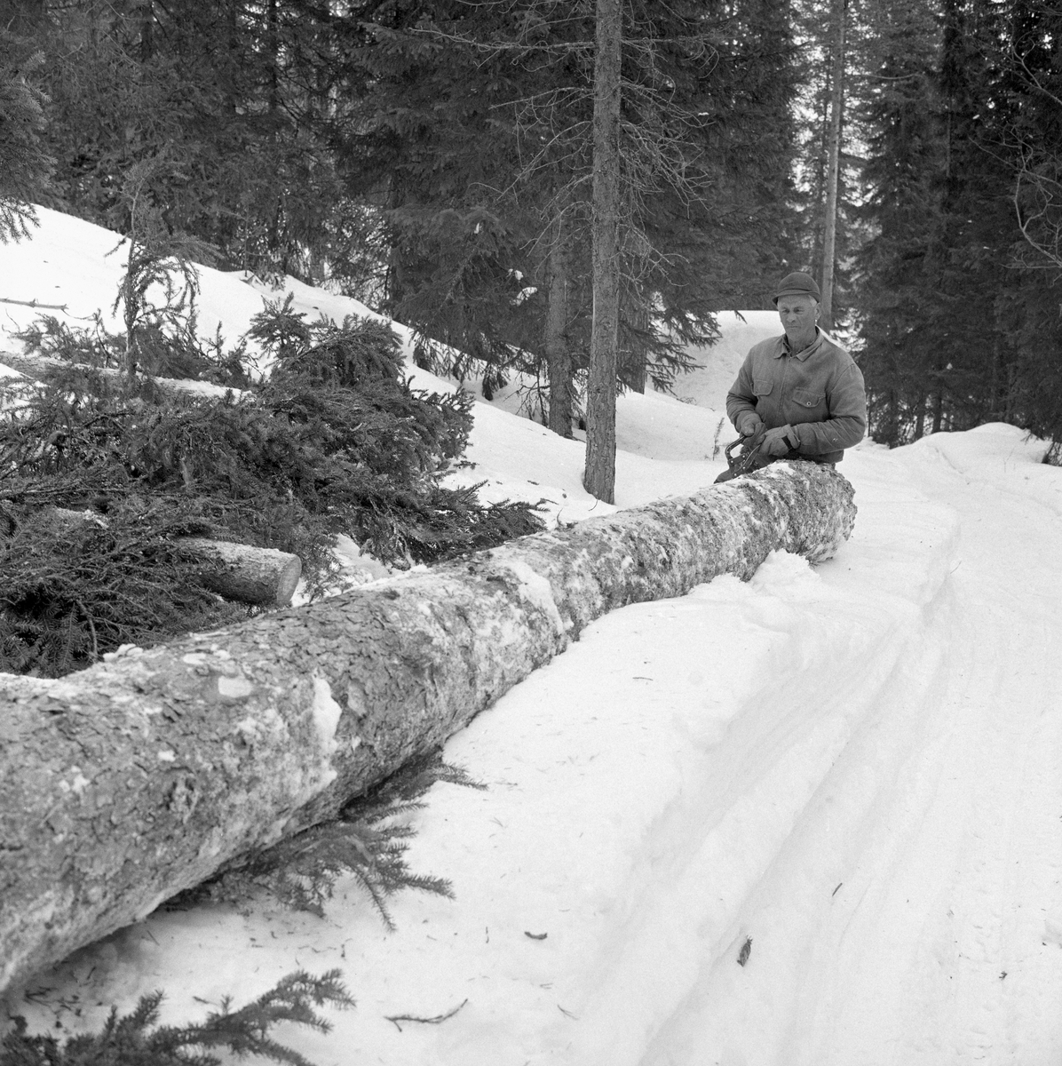 Tømmerkjøring med rede hos Per O. Løberg og sønn. Kjøringen foregikk i nærheten av Nybergsund, Trysil, Hedmark.