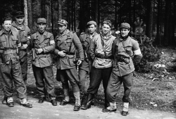 Milorg-soldater maidagene 1945 (Se også MINØ.037946)