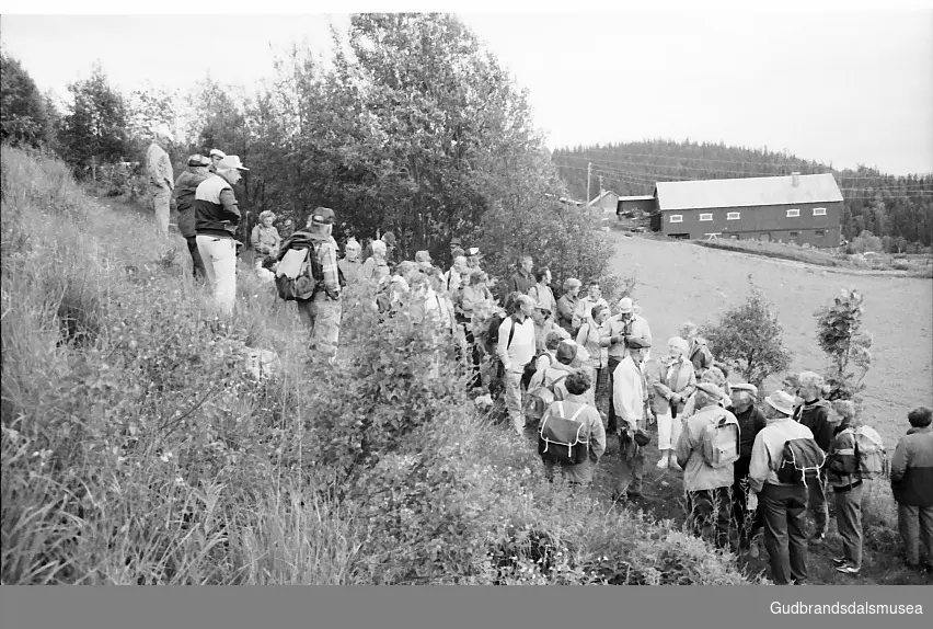 Markvandring Mykkelseterbakken- Sør Fåvang skole.1989