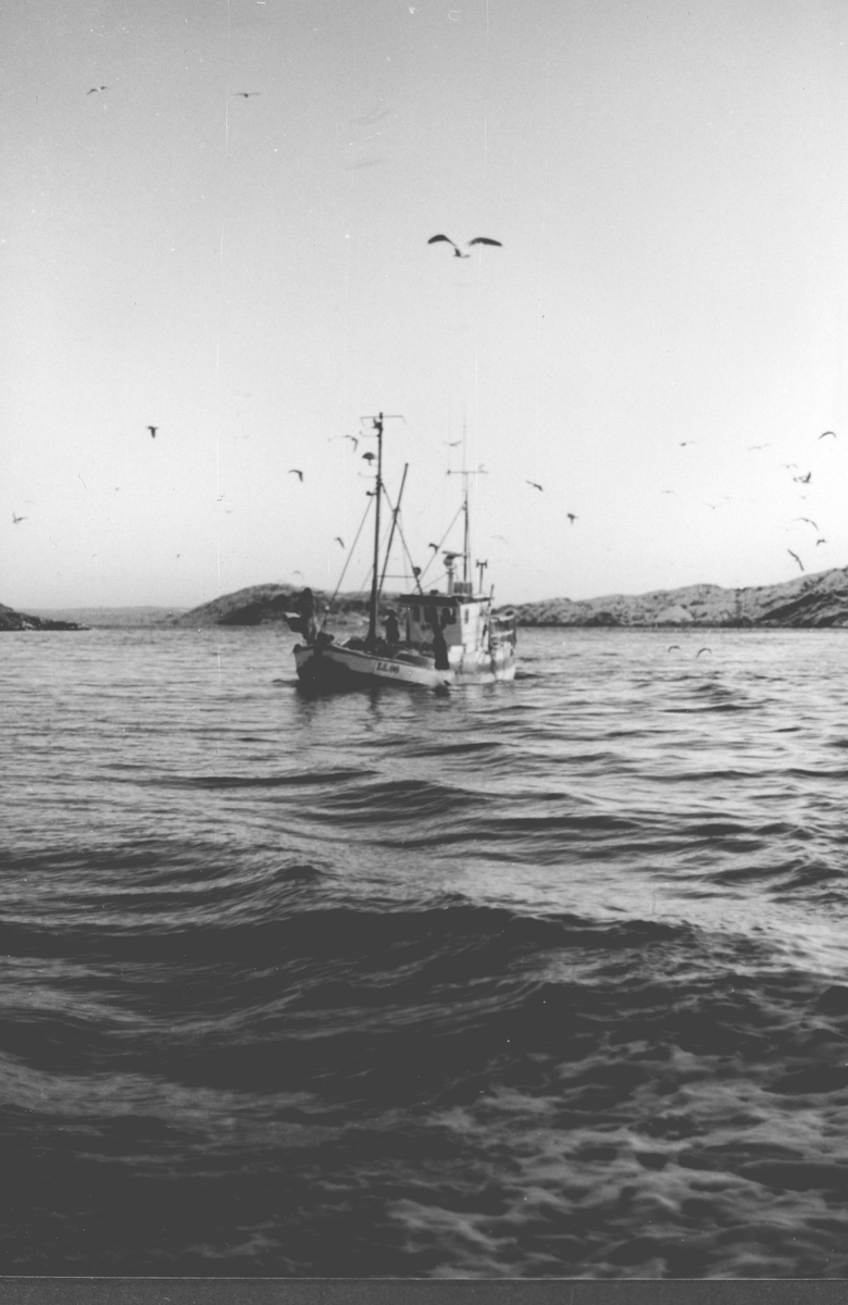 Fiskeskøyte på fisketur