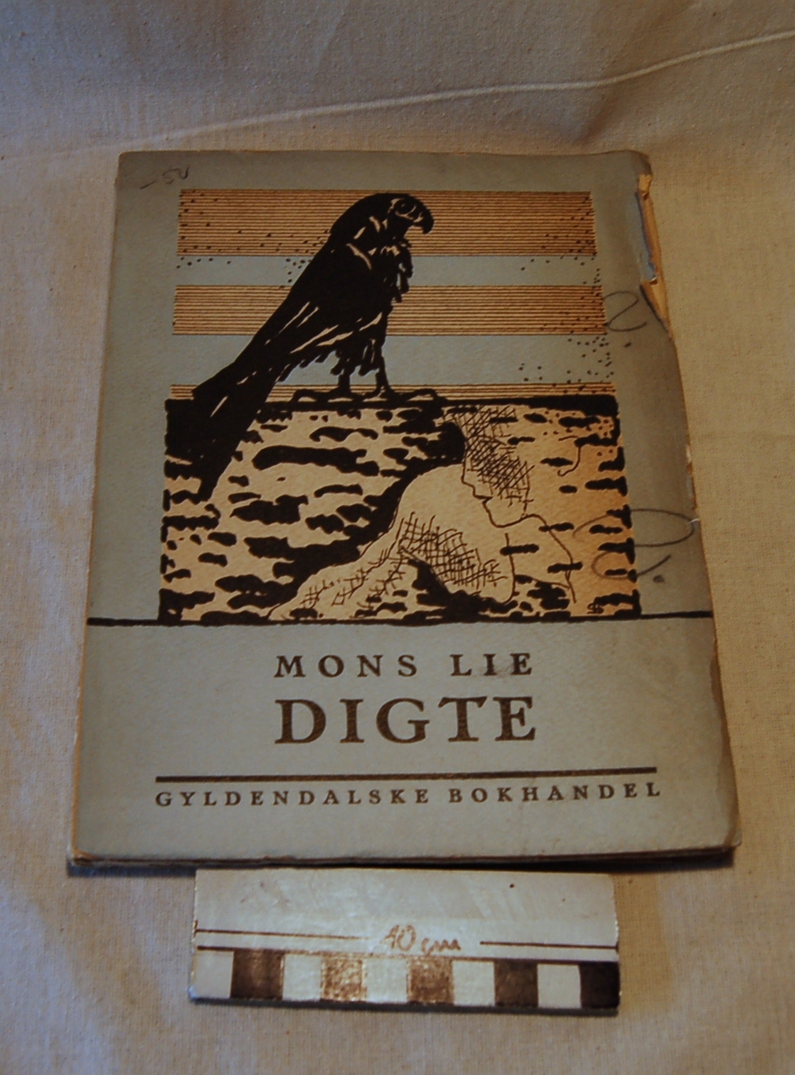 På bokens forside er et motiv med en fugl og en profil av hode nede i et vann.