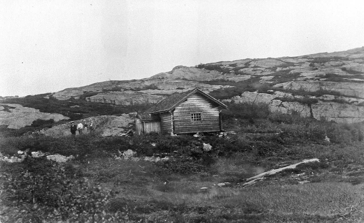 Åmlibilder samlet av Åmli historielag
Vestsida Hægestøyl
