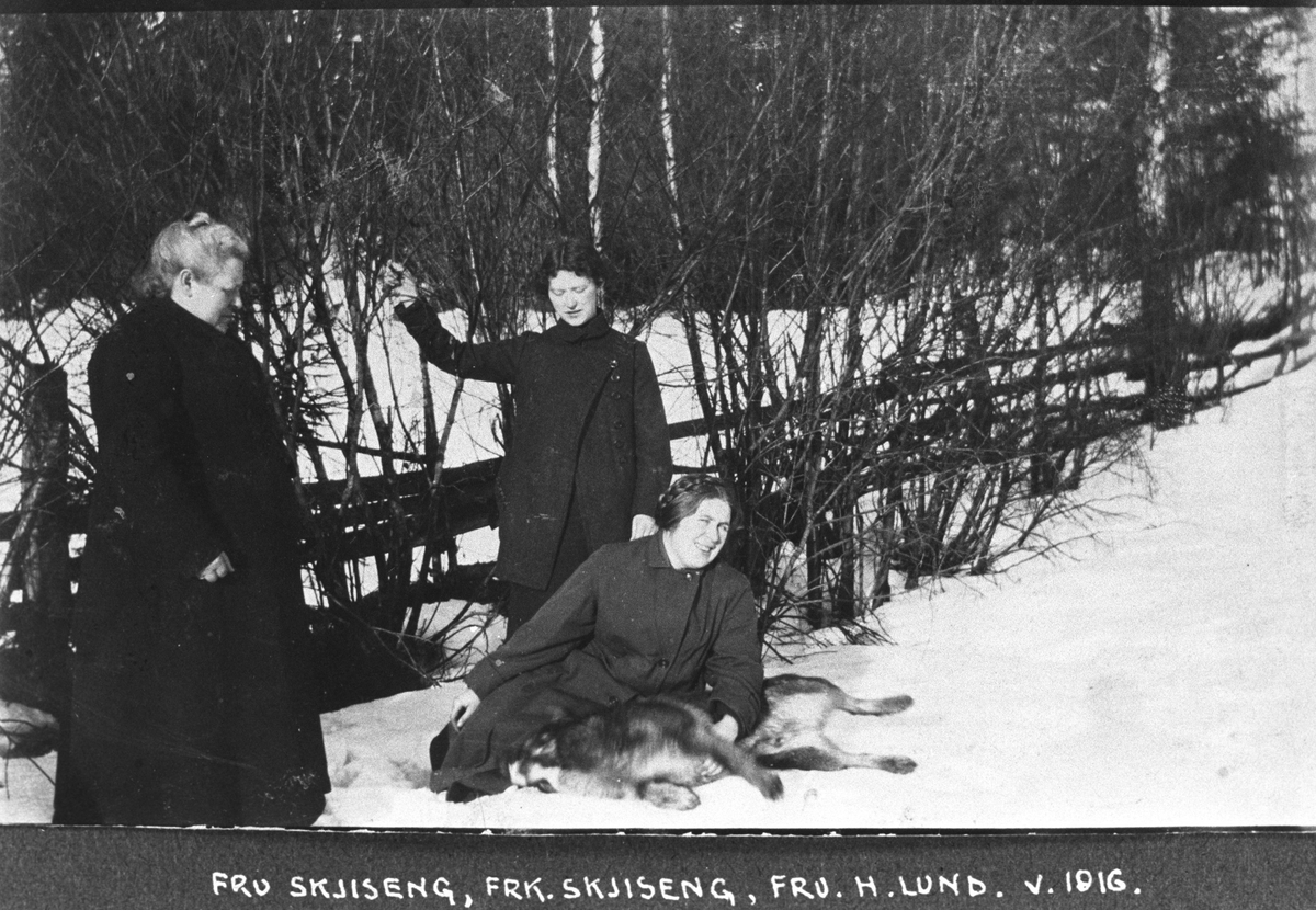 Tre voksne kvinner og en hund i snøen