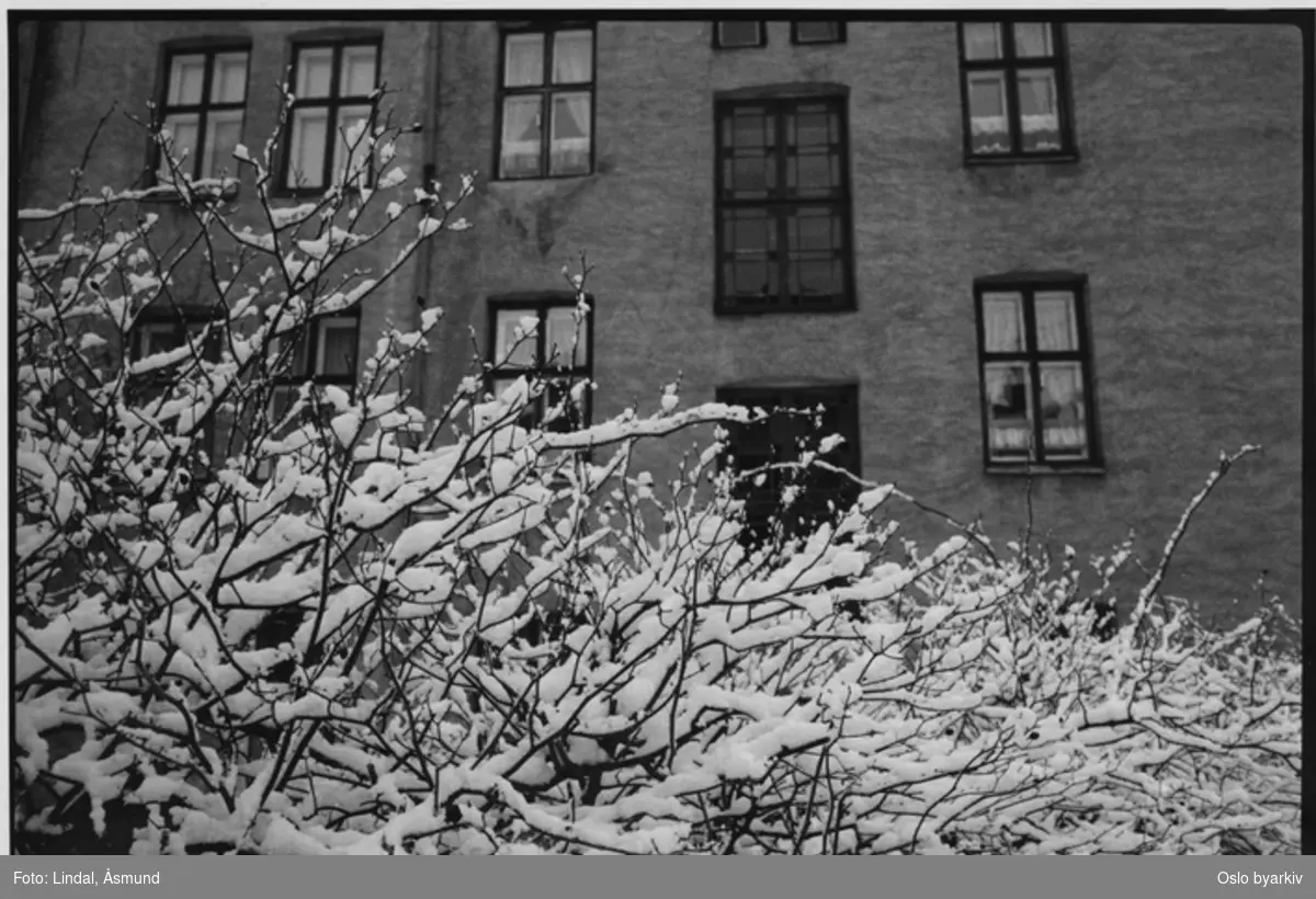 Bakgård med nysnø. Fotografiet er fra prosjektet og boka ''Oslo-bilder. En fotografisk dokumentasjon av bo og leveforhold i 1981 - 82''. Kontakt Samfoto ved ev. bestilling av kopier.