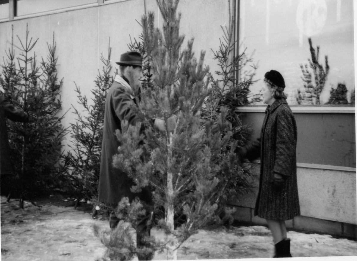  Jon Viko selger jultre på Røa.
Hatt,frakk,luve og juletre.
Frå v. Jon Viko, og en kunde.