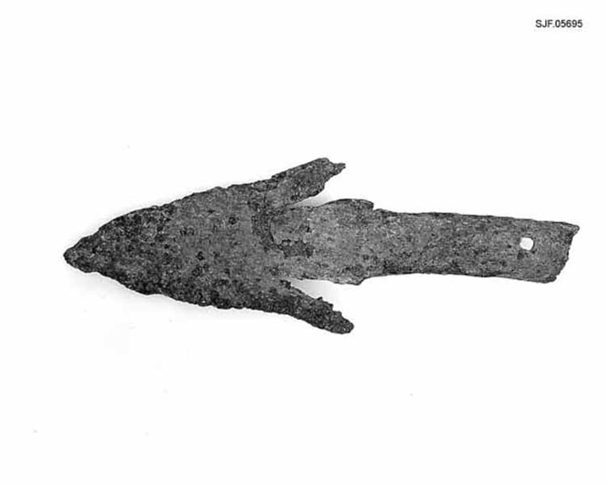 Spissen er sterkt opprustet. Den ble funnet i 1977 i sørenden av Nordre Elvåga, i slammet da vannet var nedtappet. 