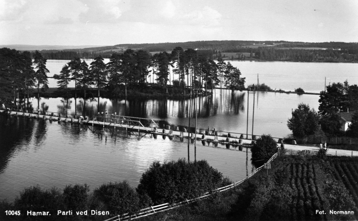 Postkort, Hamar by, Åkersvika, Vangsvegen over Disen bru, Disenbrua, mjøsflom i 1927, flommen 1927, "Parti ved Disen"