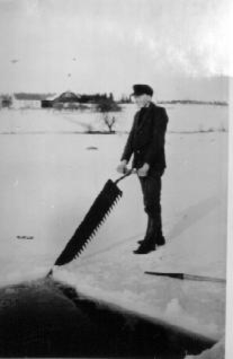 Johan Finborud skjærer is på Mjøsa med sag utenfor Frydenlund, Nes, Hedmark.