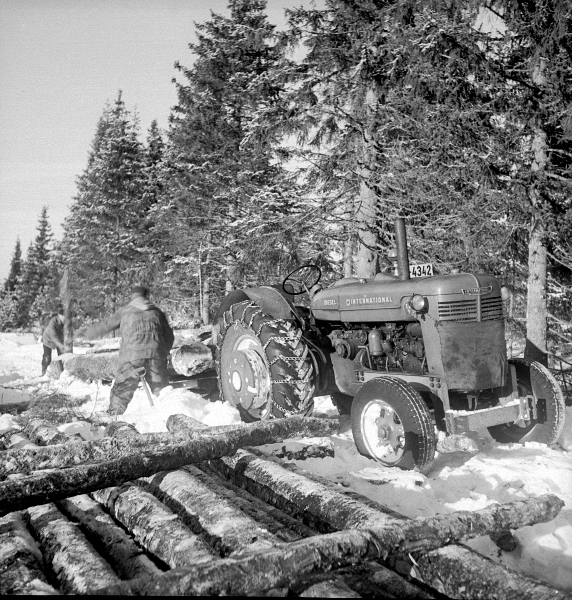 Tømmertransport med en International traktor med kjetting. D-4342. To menn arbeider ved tømmervelta. Berger Langmoen A/S. Ringsaker.