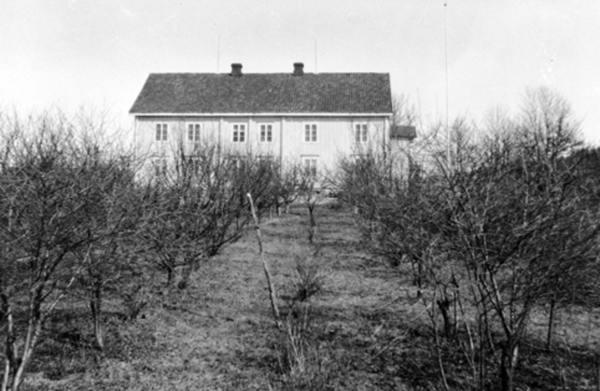 Hovedbygningen og hagen på Mørkved store, Furnes, i 1918.