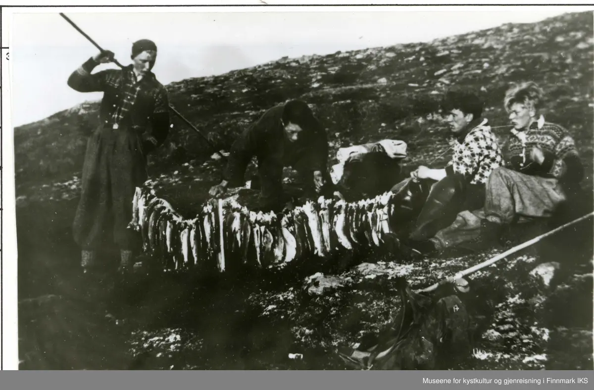 Johannes Johannessen, Mehamn. Ragnar Gjerp, Risfjord. Håkon M. Hansen