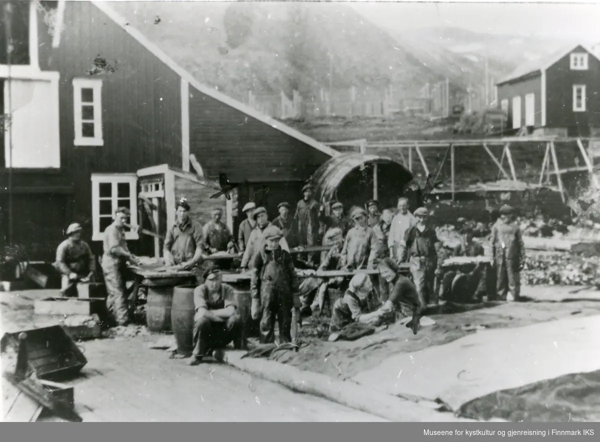 Mange mennesker jobber med fisk på ei kai i Tyfjord. Ca 1940.