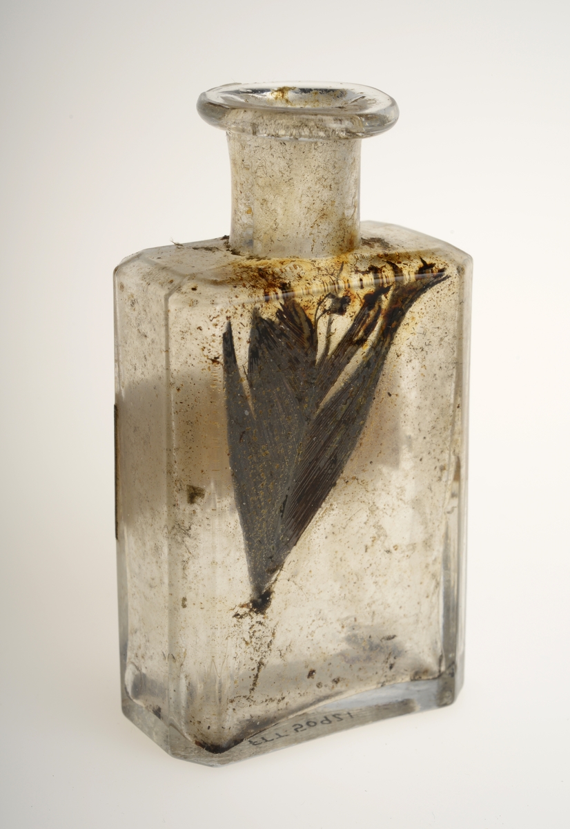 Blank glassflaske fra Løveapoteket i Trondheim. Flasken er uten innhold bortsett fra restene av en fjær, den har en rektangulær etikett. Det er rester av en sekundær etikett.